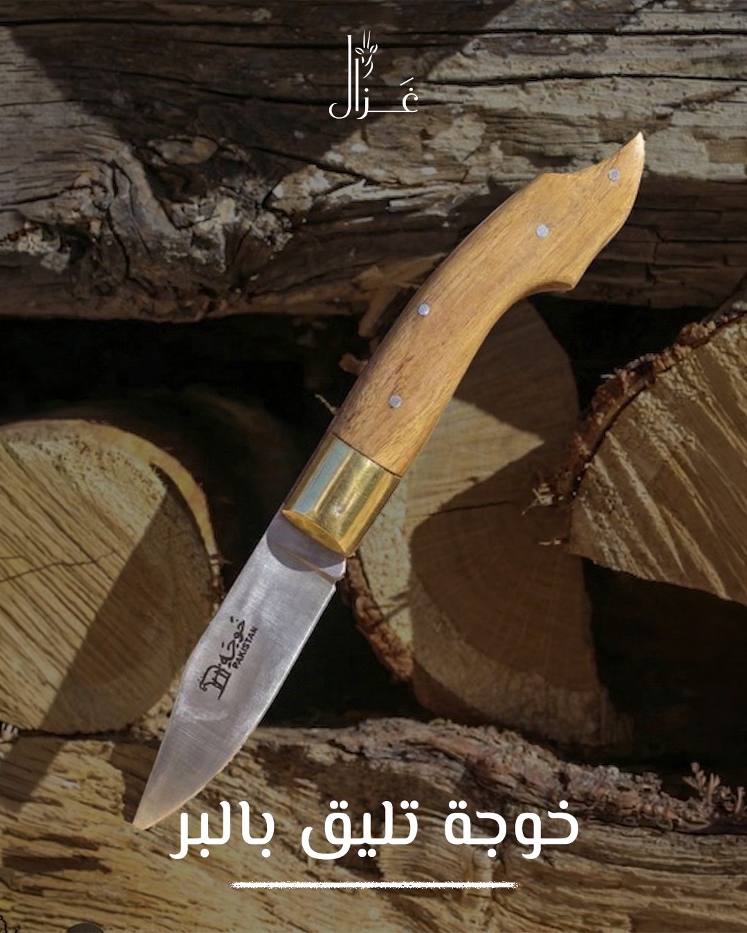 Gazal — خوجة تليق بالبر